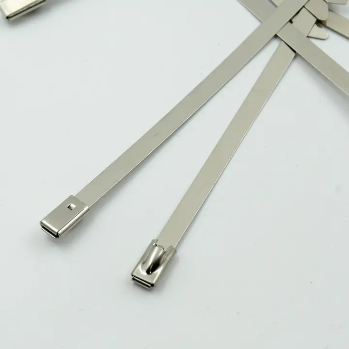 Stainless Steel Cable Tie (4.6x100mm 10 Pcs Set)